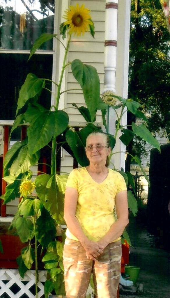 Harriet A (Reven)  Bennett
