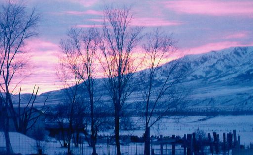 H. Reed Cammack photo gallery thumbnail 52 of 88