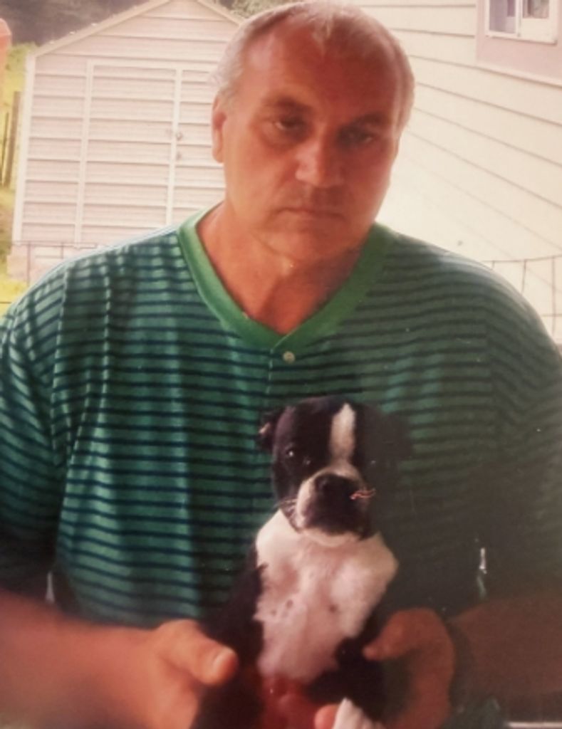 Roger Cox Profile Photo