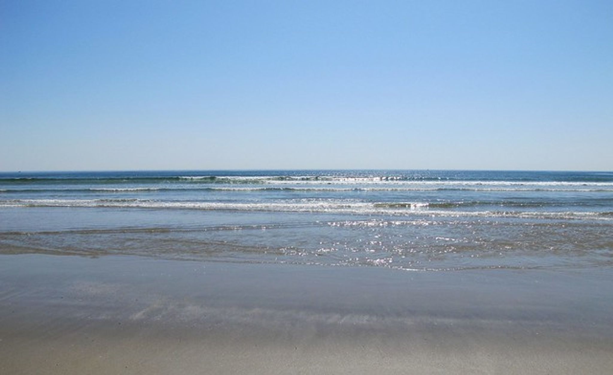 Cover photo for William C. Beck Jr.'s Obituary