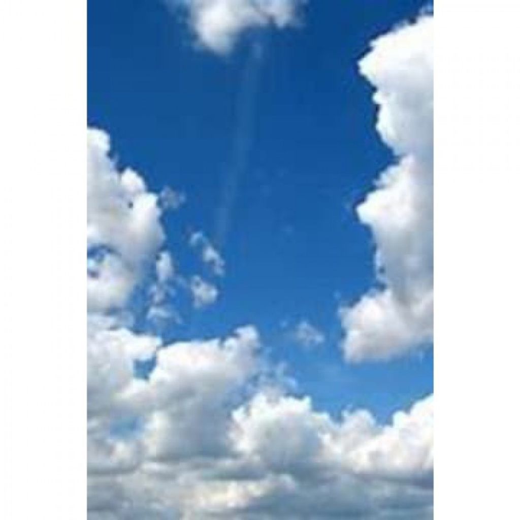 James Richard Musser Profile Photo