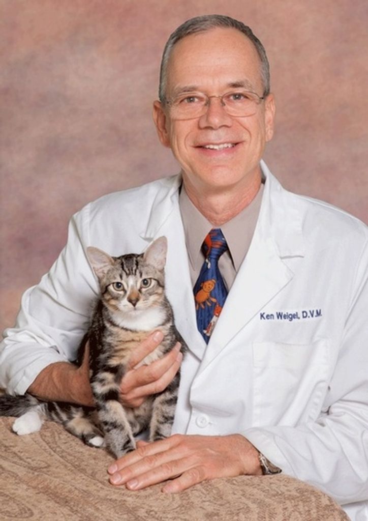 Kenneth John Weigel Profile Photo