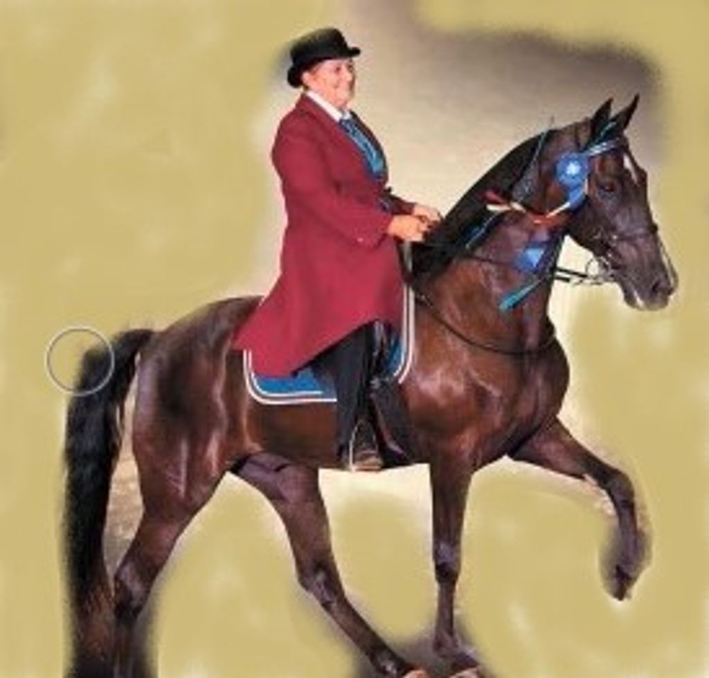 Rhonda Cheryl (Holt)  Ingle