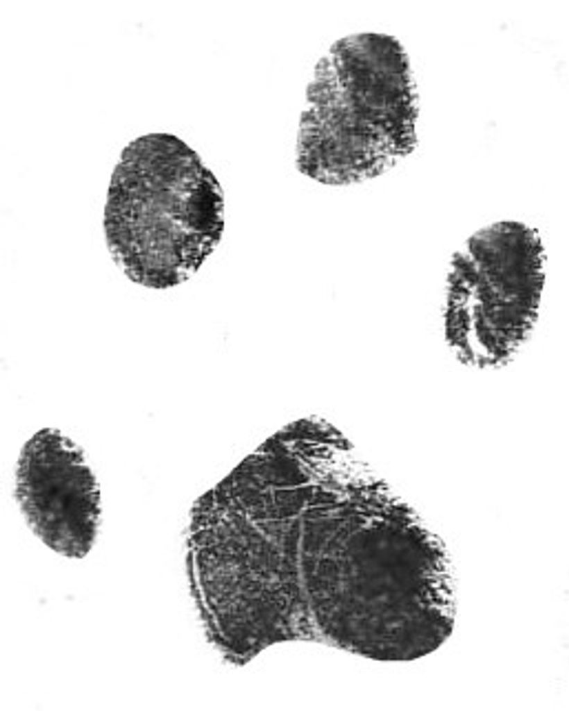 Bayla Philip Profile Photo