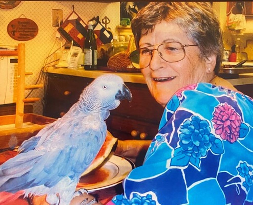 Irene Katherine (Schuessler) Poplin Profile Photo