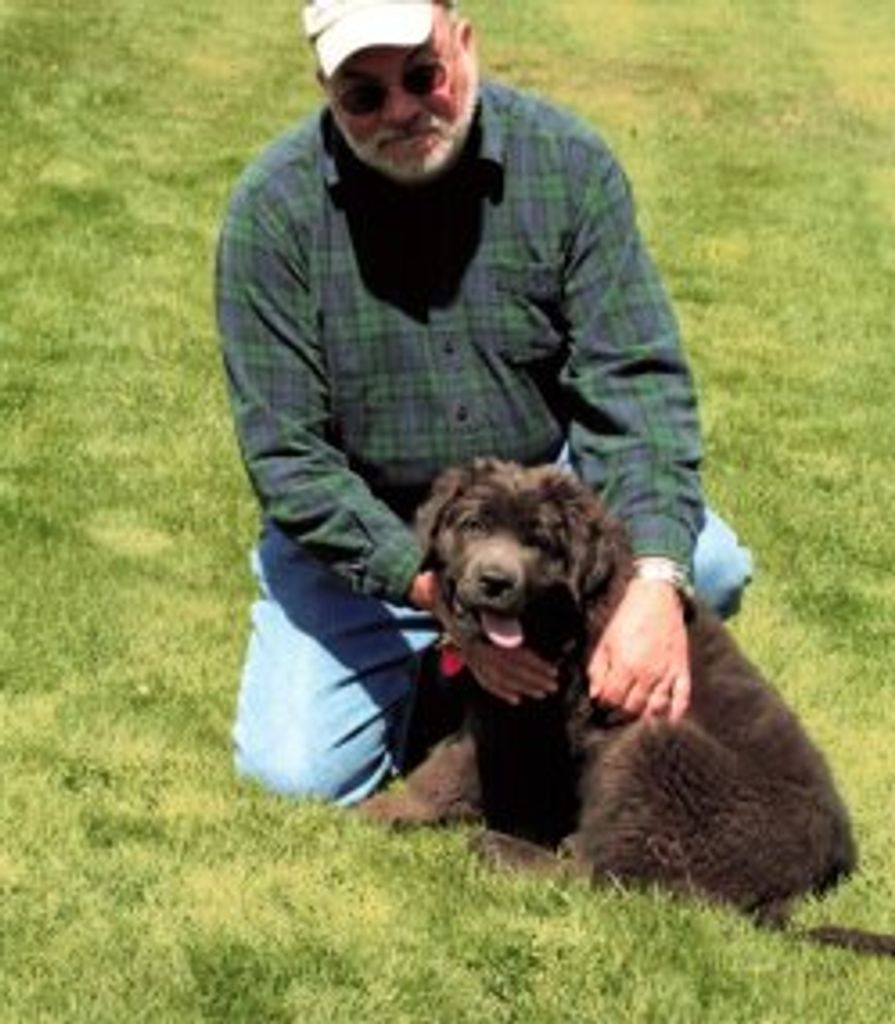 Paul N. Cox Profile Photo