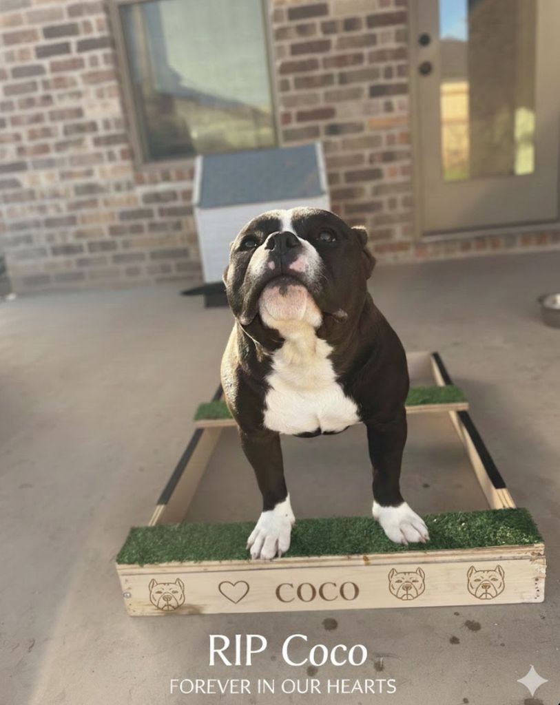 Coco Profile Photo