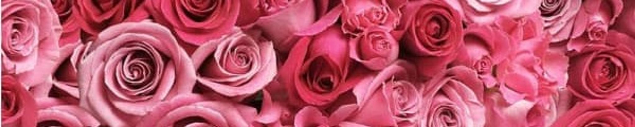 Cover photo for Jazman Marie Huerta's Obituary