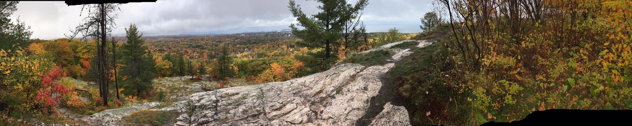 Cover for Darlene Renae Molloy's Obituary