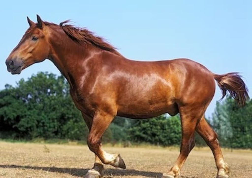 Eddie Taylor Profile Photo