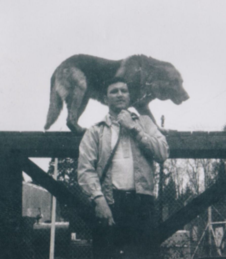 Don White