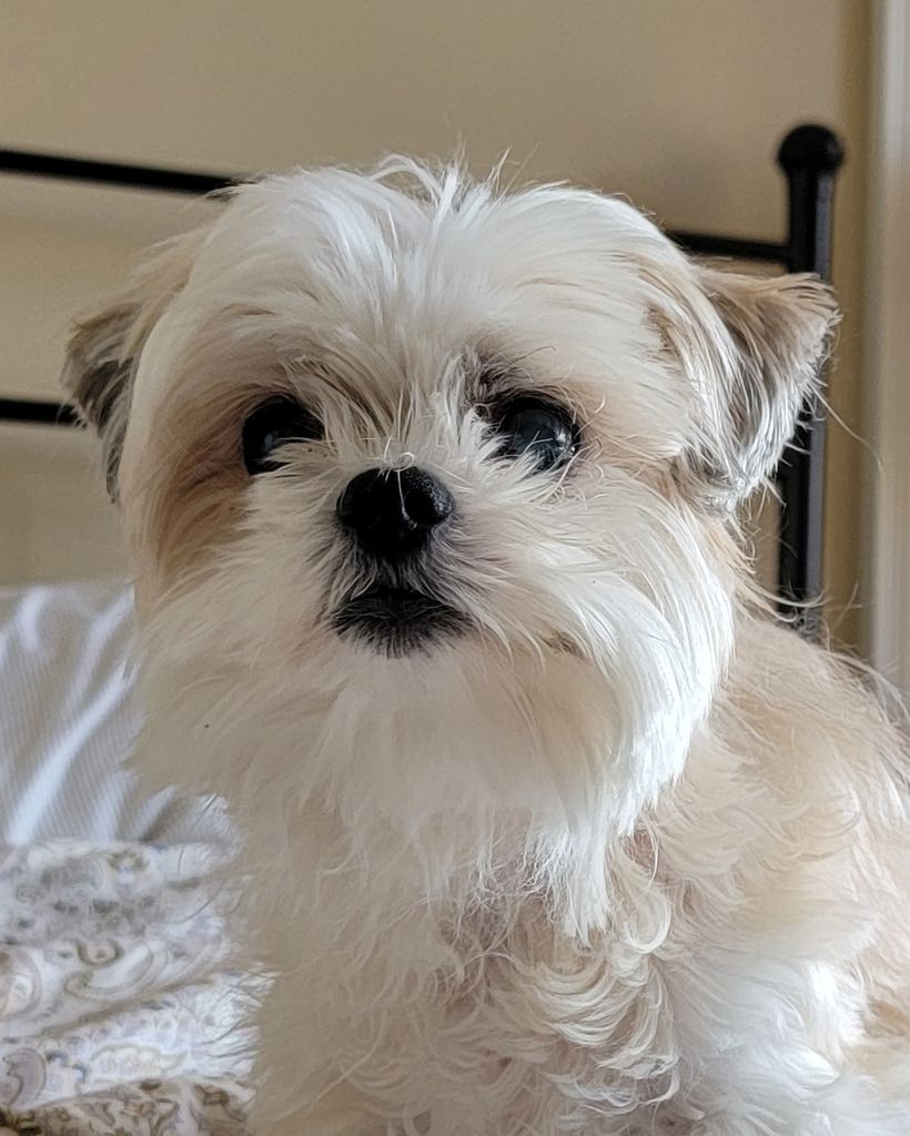 Gunner Ungaro Profile Photo