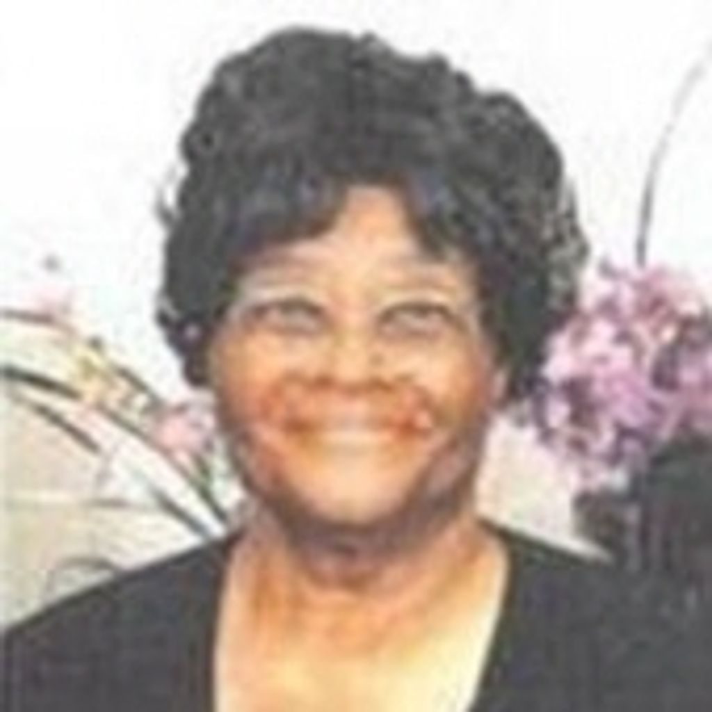 Felinese Webb Nub Baker