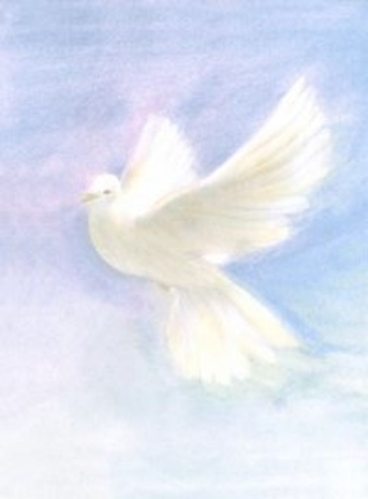 Vernon Roger Goehner