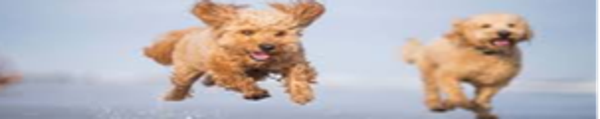 Cover for Kenneth George Peer's Obituary