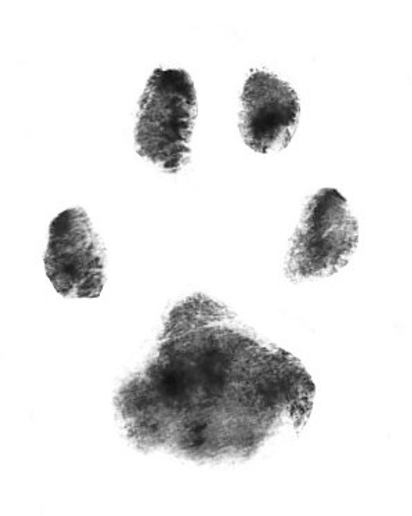 Rosie Aldridge Profile Photo