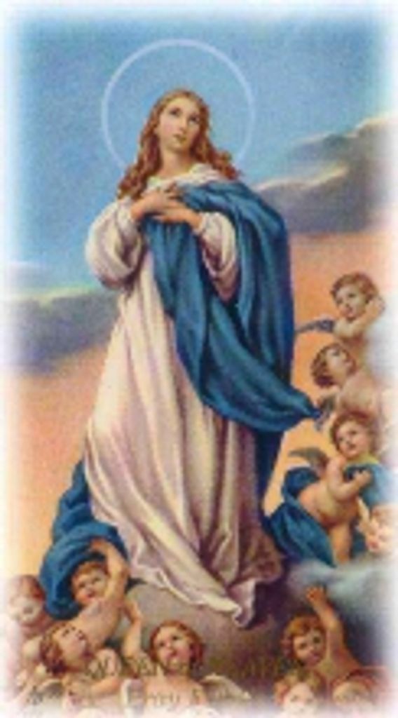 William  L. Swift,  Sr.