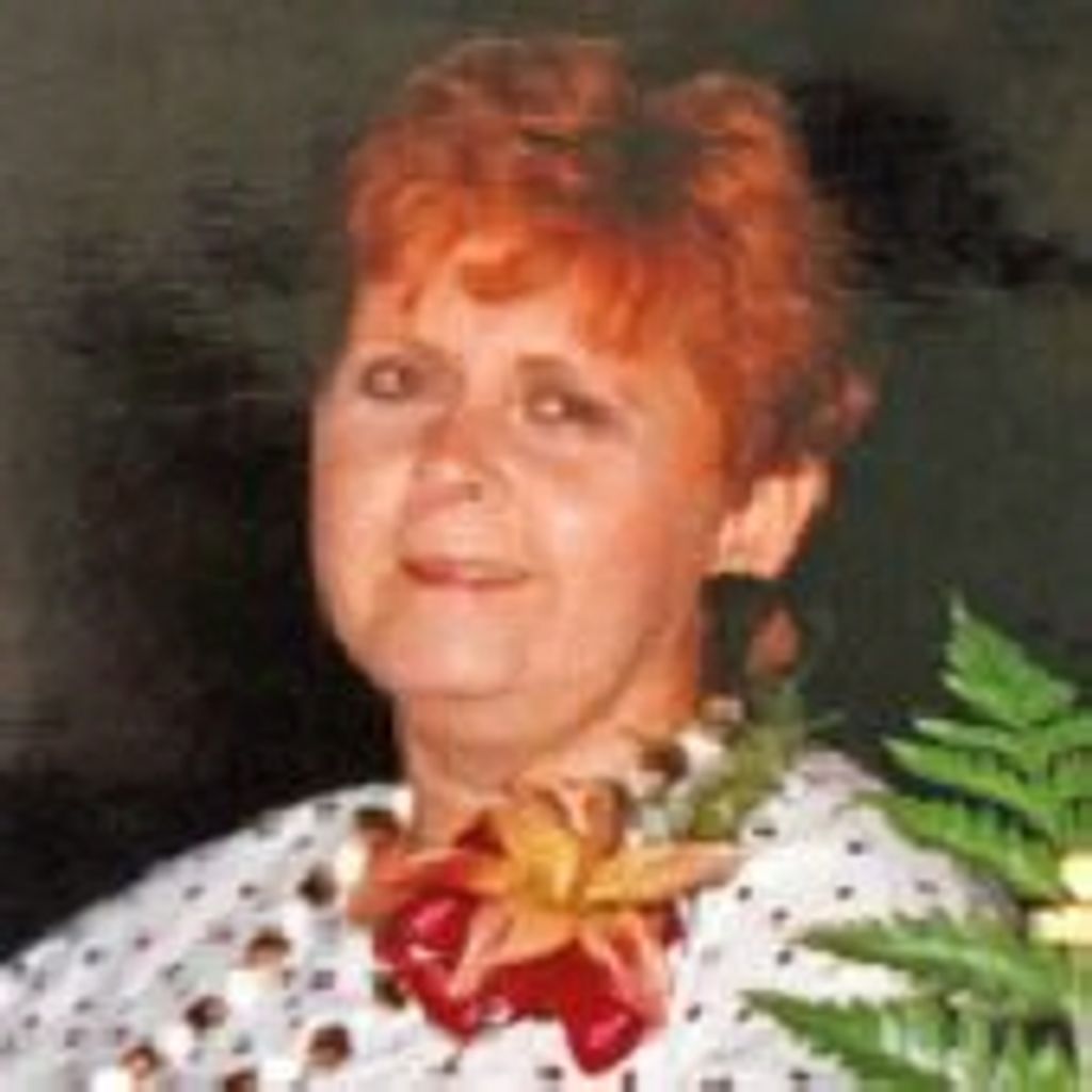 Carol Sue Mcelroy