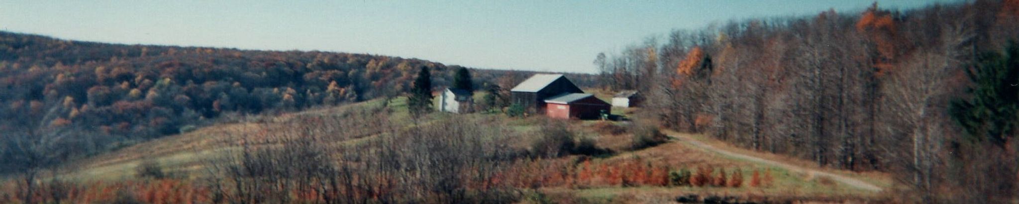 Cover for Judy Stenberg's Obituary