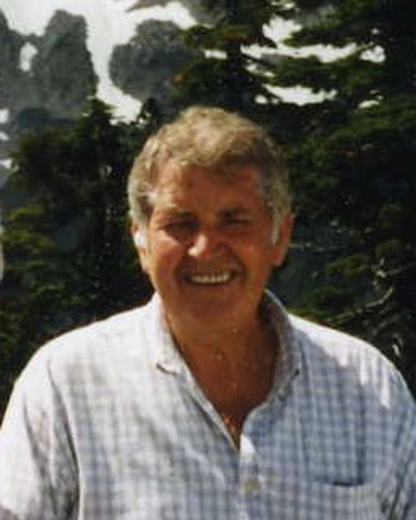 Allan J. Vis