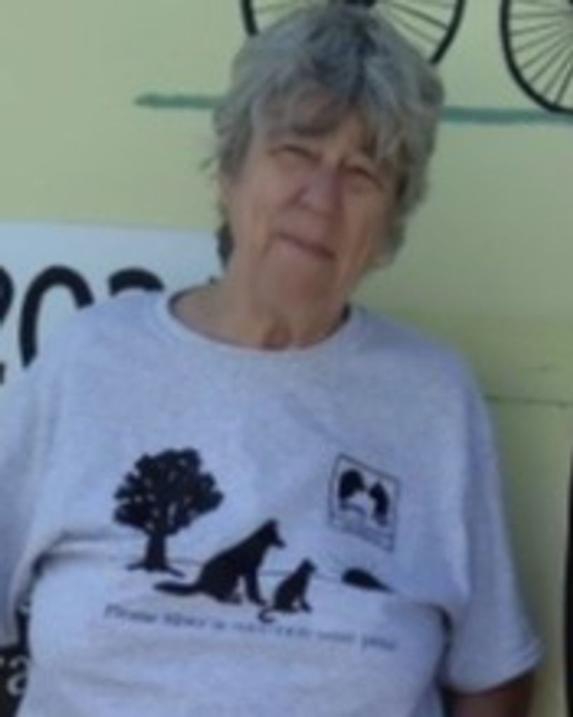 Susan Claire Wills Profile Photo