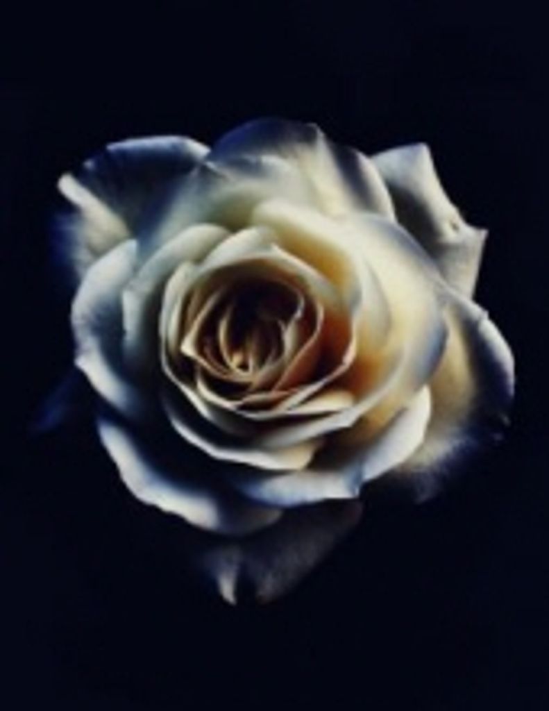 Gail Catherine Troxell