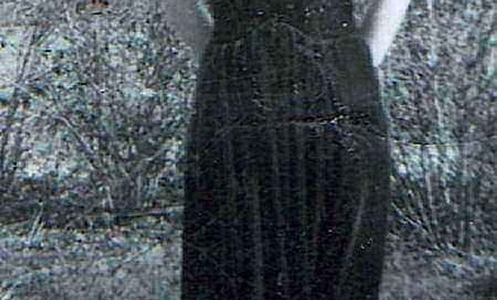 Helen Irene Wyland