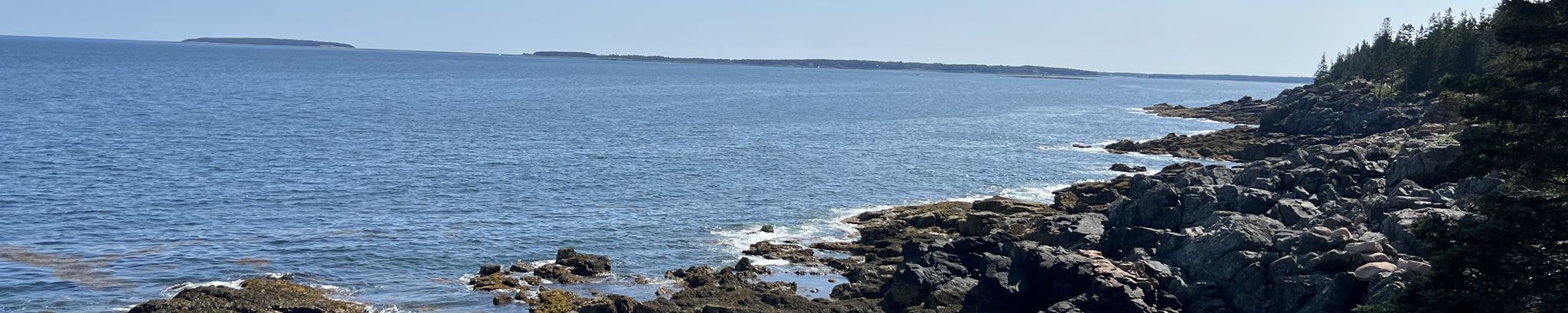 Cover for Christopher Grindle's Obituary