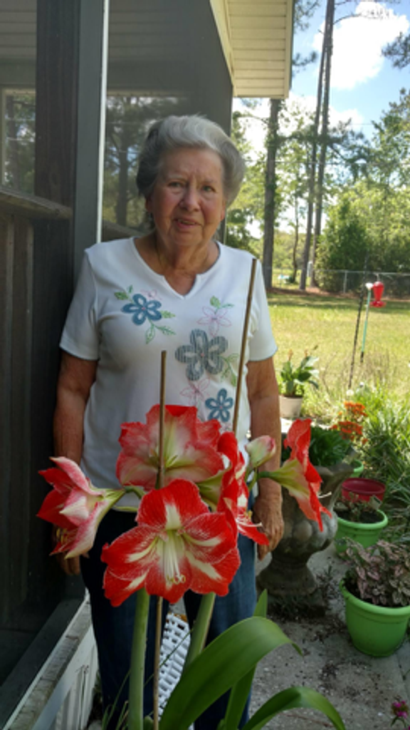 Carol Ann Purdy Martin-Andrews