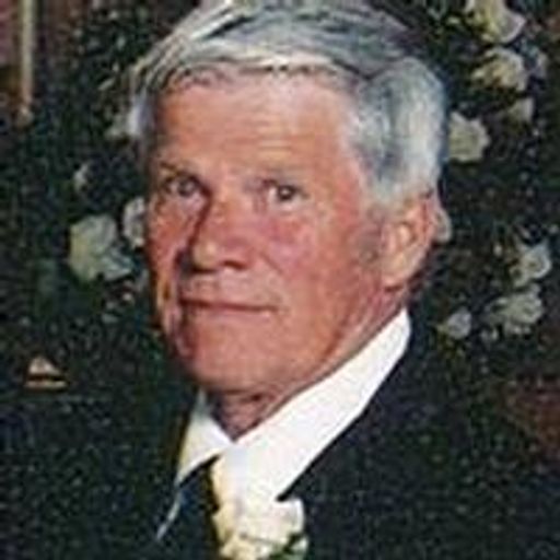 Donald D. Nussbaum Profile Photo