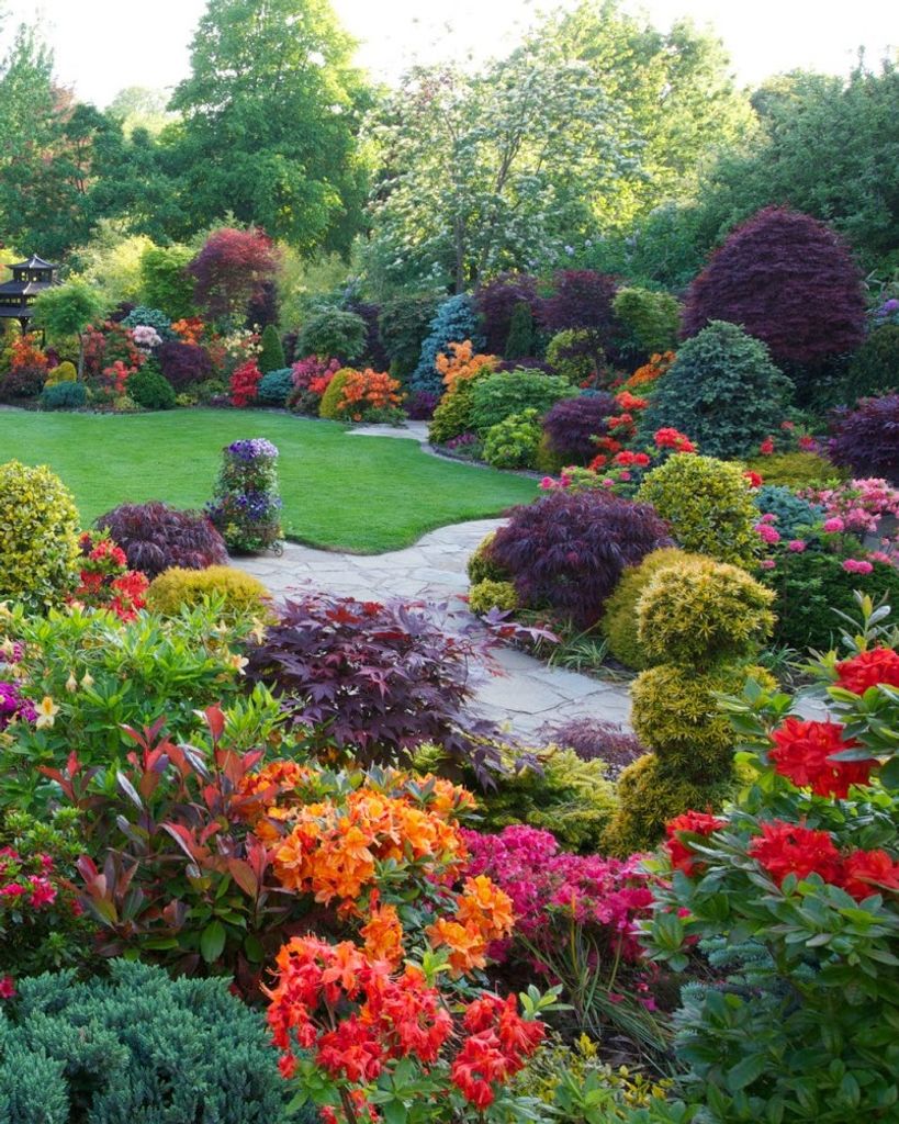 Ann M Frentzen Profile Photo