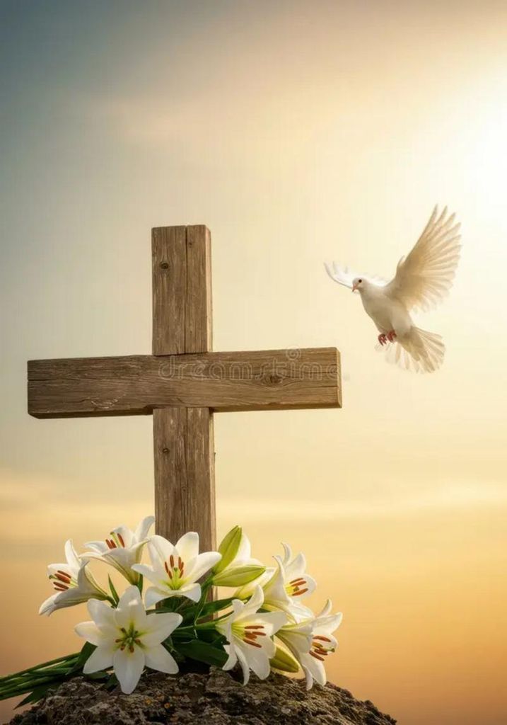 Carmen Juana Medina Gómez Profile Photo