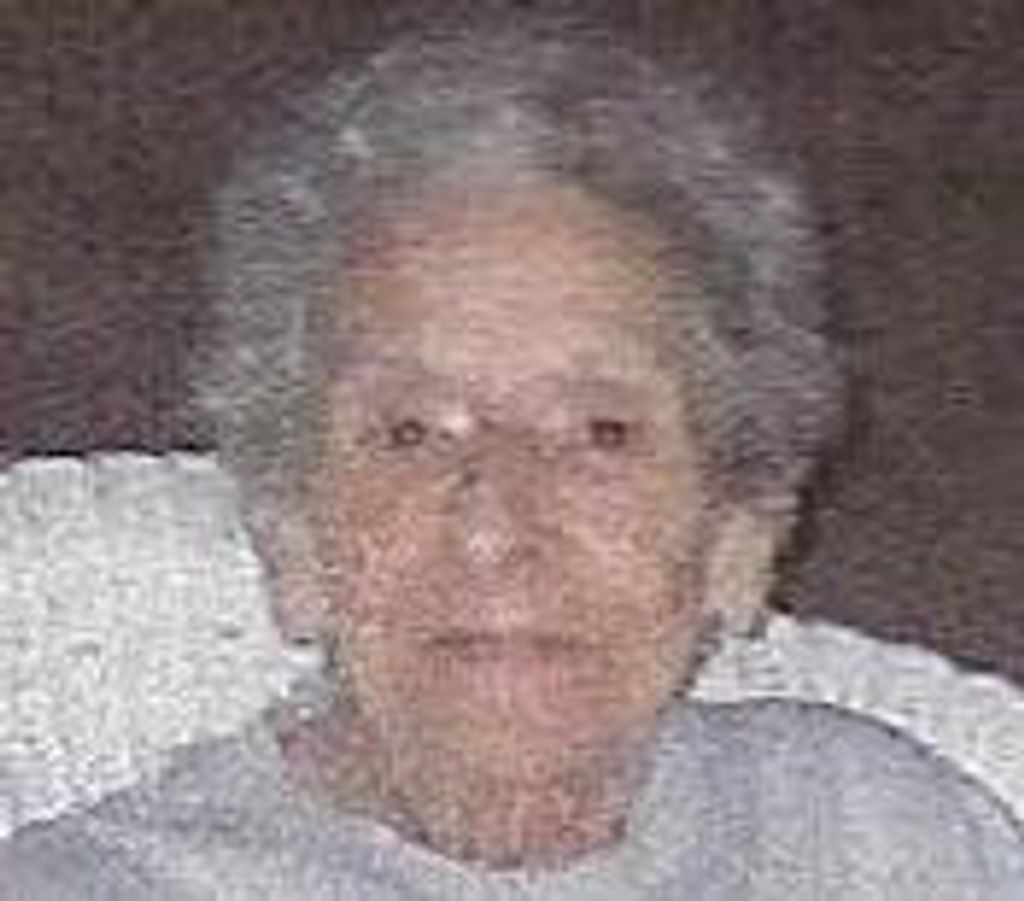 Arlene E. Voyik
