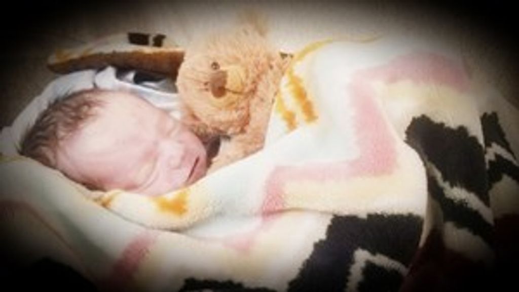 Hazen Michael Lea Oren