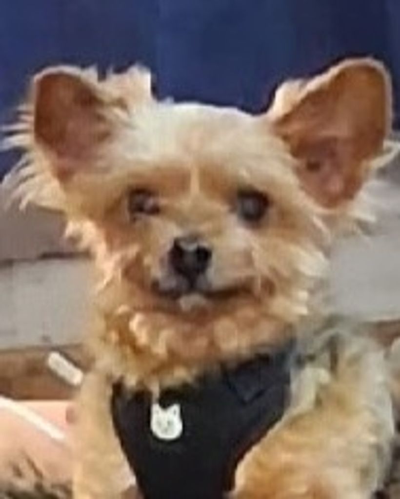 Scotty Perkins Profile Photo