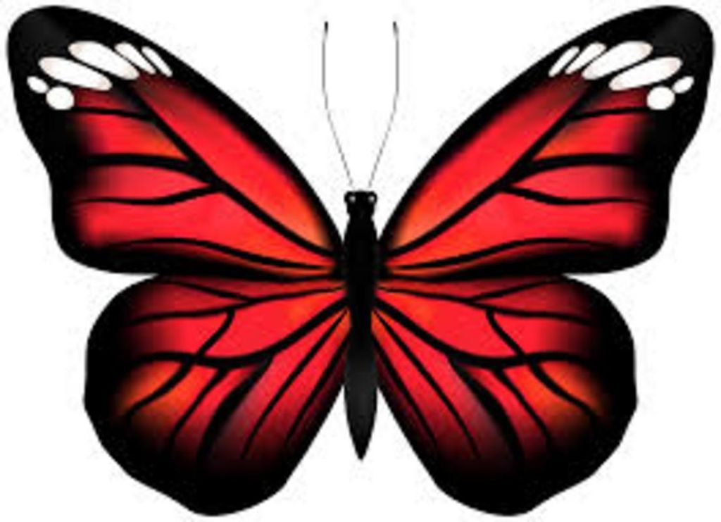 Margot Desales Profile Photo