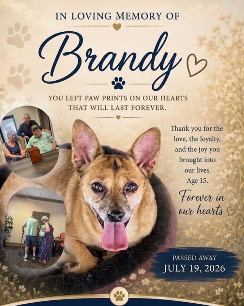 Brandy Profile Photo