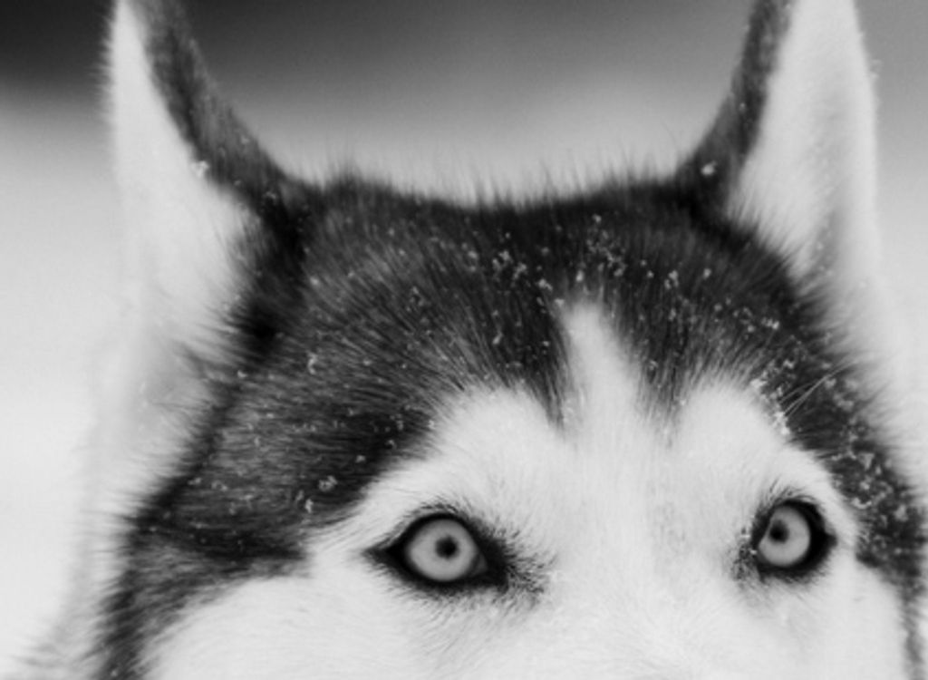 Jerry Allen Cox Profile Photo