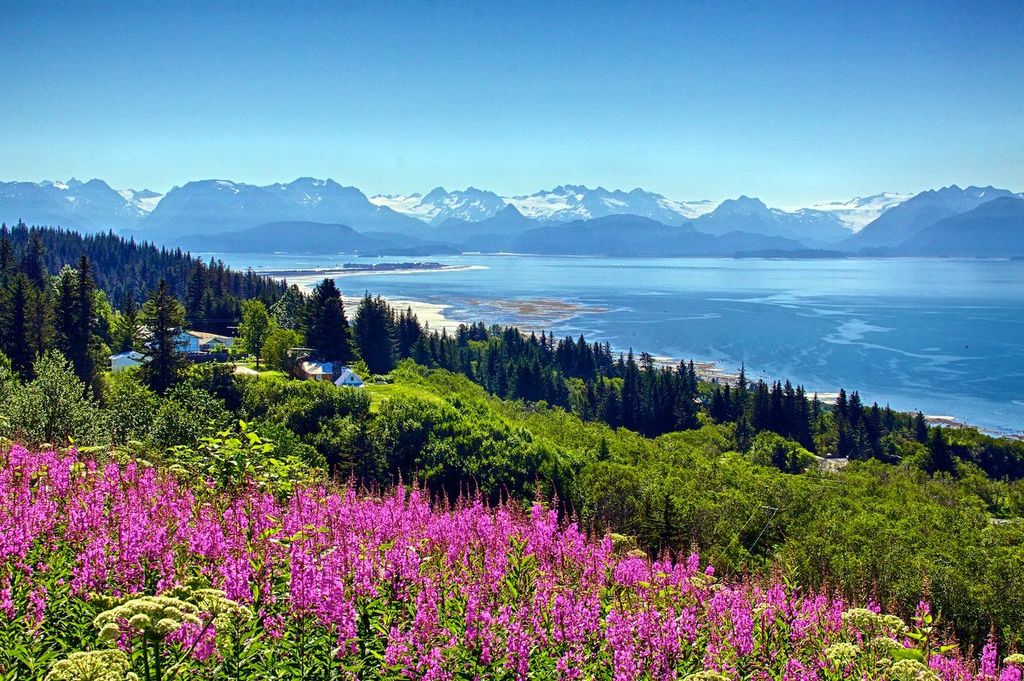 Vernon Clifford Morgan Profile Photo