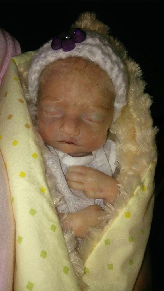 Hadley Roe Curnutt