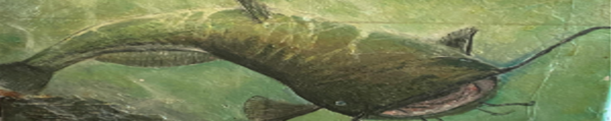 Cover for Jason Michael Burgess's Obituary