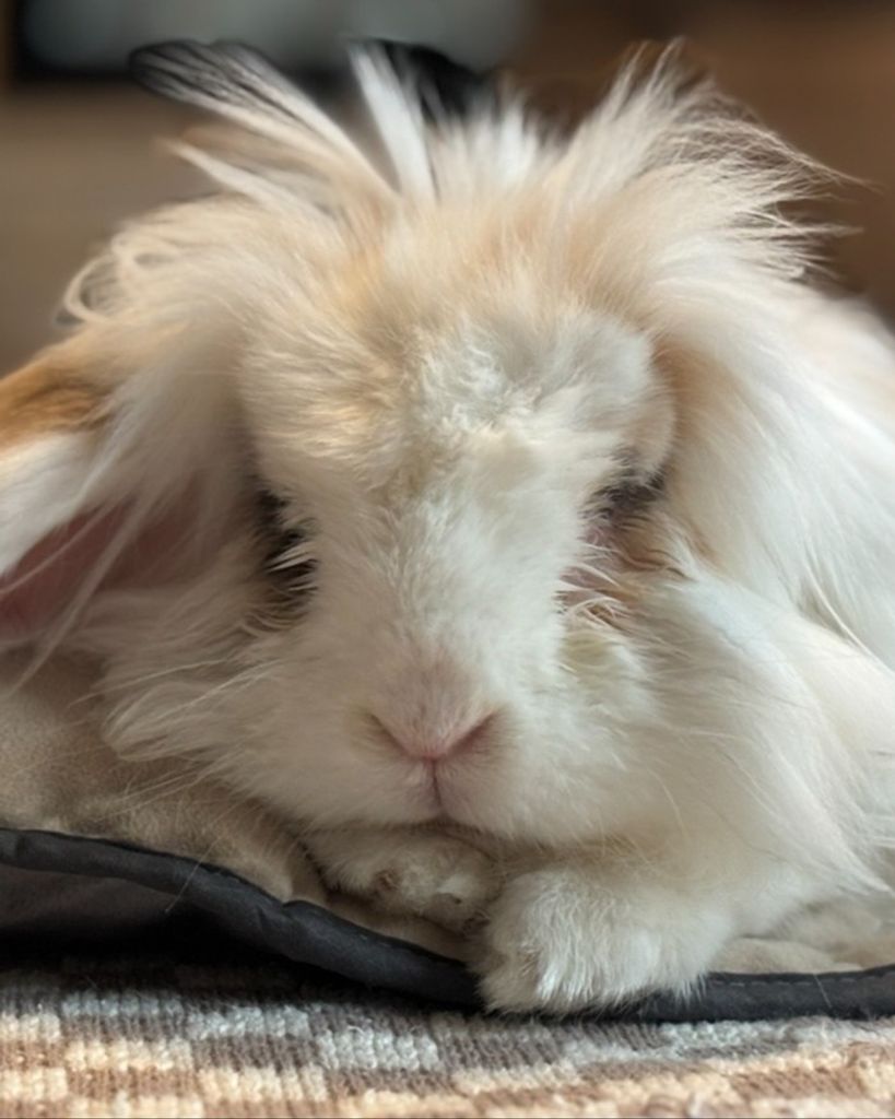 Leo Bunde Profile Photo