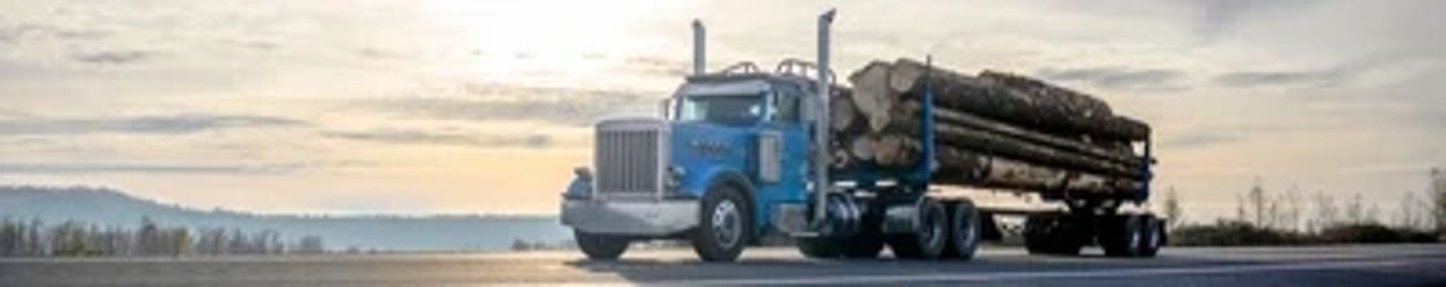 Cover photo for Ellis Ray Long's Obituary