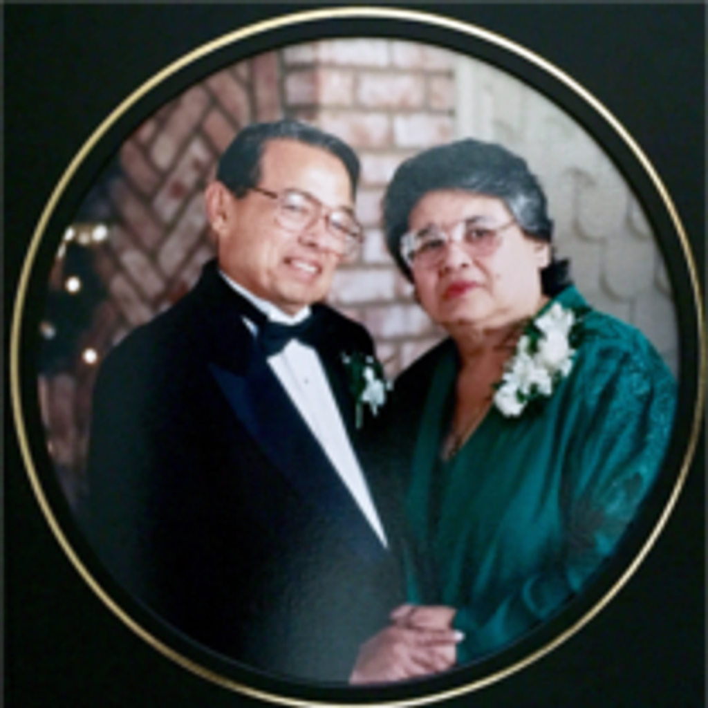 Nancy Van Der Sluys Veer