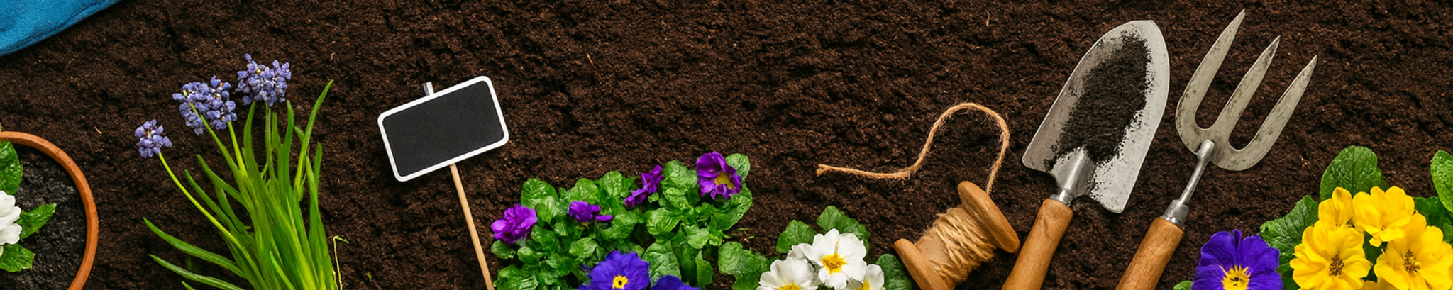 Cover photo for Mary B. Austin's Obituary