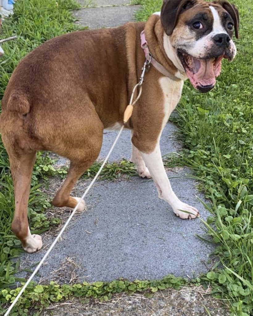 Dakota Profile Photo