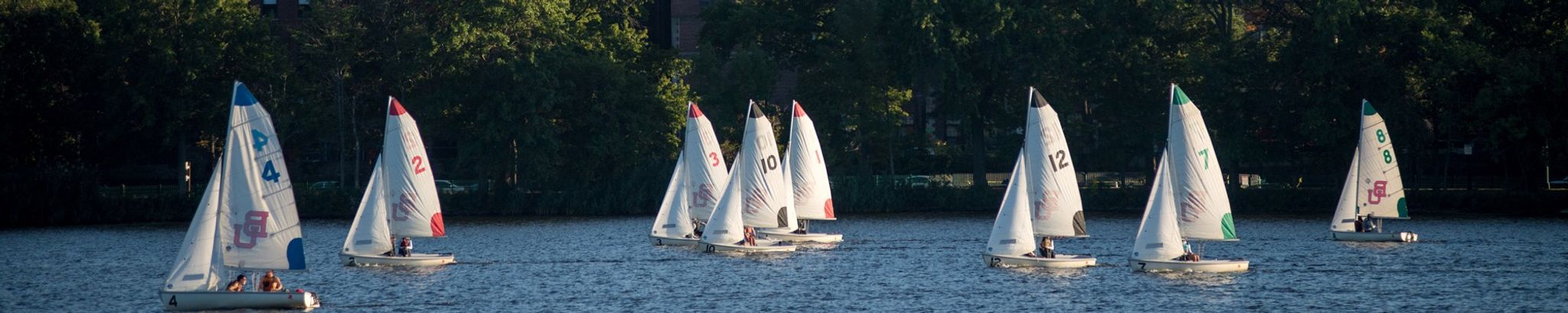 Cover for Katharine Grinnell More's Obituary