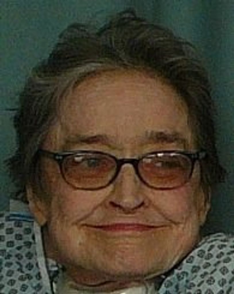 Sherilynn N. Pacelli