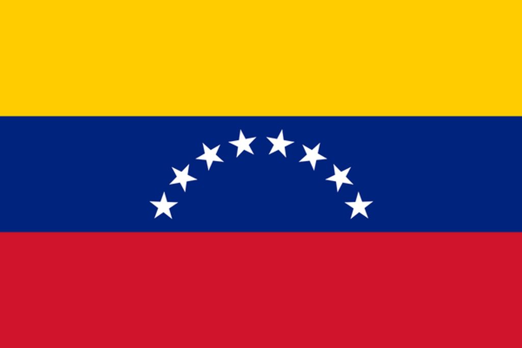 Everson Segundo Rios Urdaneta Profile Photo