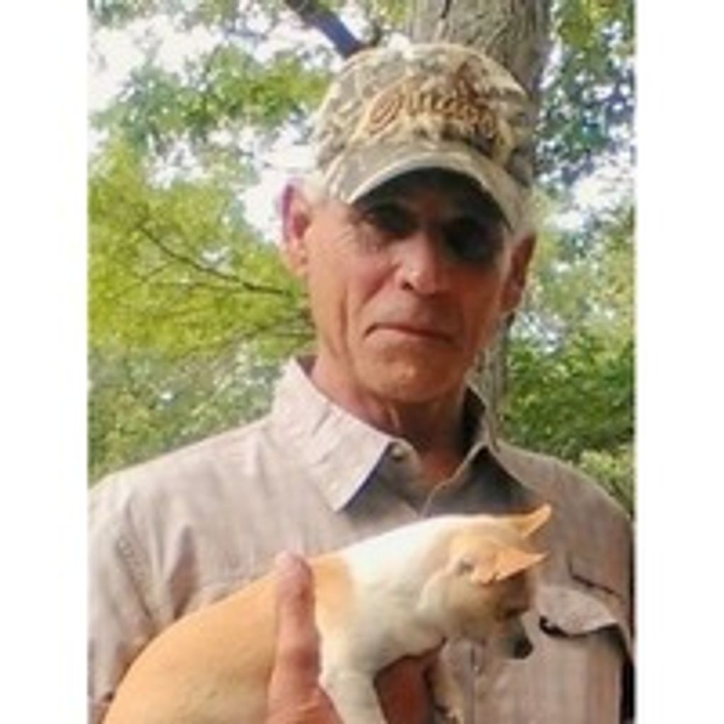 John  Dean Williams Profile Photo